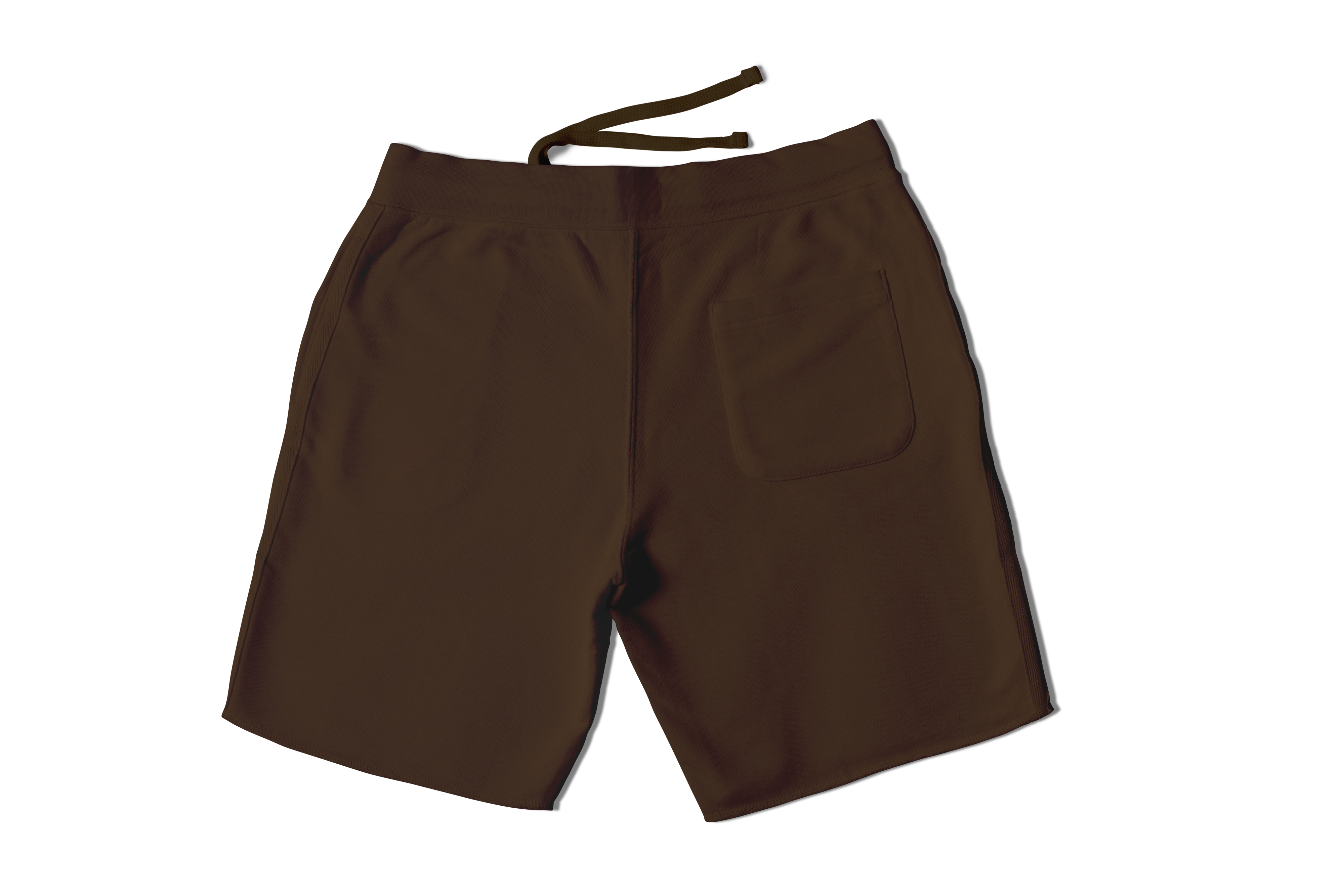 Mocha Brown Vintage Shorts